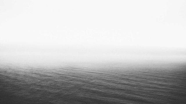 One Camera, One Lens, One Year